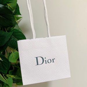 Dior Small Texture Pebble Paper Shopping Gift Bag